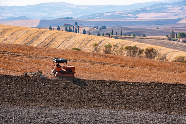 Gialli campi agricoli in estate in Toscana Italia