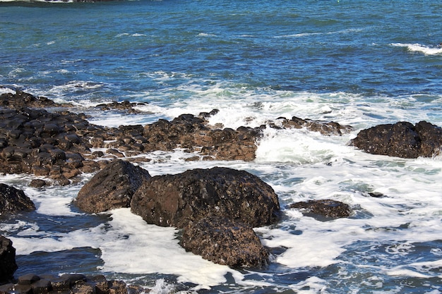 Giant's Causeway, Norten Irlanda, Regno Unito