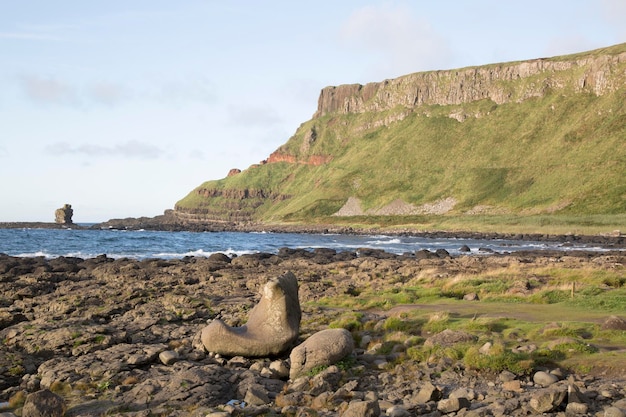 Giants Causeway nella contea di Antrim, Irlanda del Nord, Regno Unito