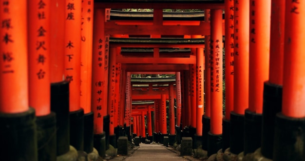 Giappone porte torii rosse e sentiero a Fushimi inaritaisha per vacanze vacanze o passerella per il turismo sentiero religione shintoista e santuario a Kyoto per l'architettura tradizionale o la cultura spirituale