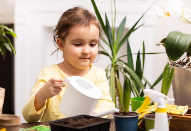 Giardinaggio domestico bambina che aiuta a prendersi cura dell'ambiente verde delle piante domestiche a casa