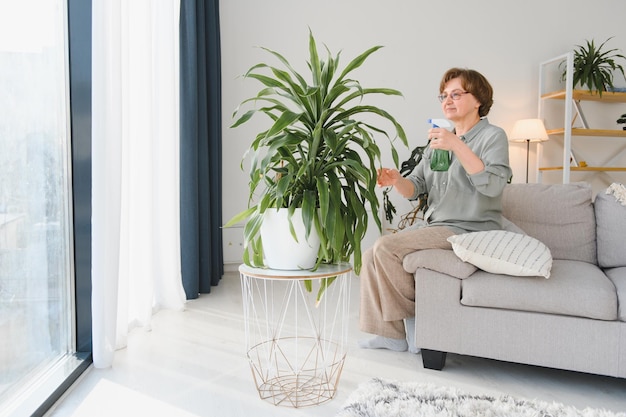 Giardinaggio domestico Donna anziana felice con gli occhiali che si prende cura della pianta Donna anziana sorridente che spruzza aloe vera con un flacone spray Cura degli interni e amore per le piante d'appartamento