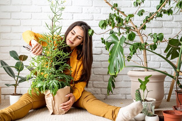 Giardinaggio domestico. Giardiniere della donna che si prende cura della sua pianta kalanchoe giardino di casa