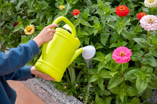 Giardinaggio e floricoltura