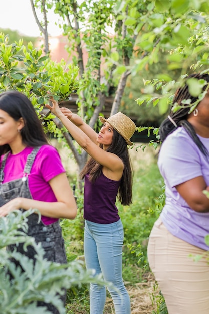 Giardinaggio in giardino urbano biologico Multidetnica latina cubana venezuelana donna ispanica e marocchina