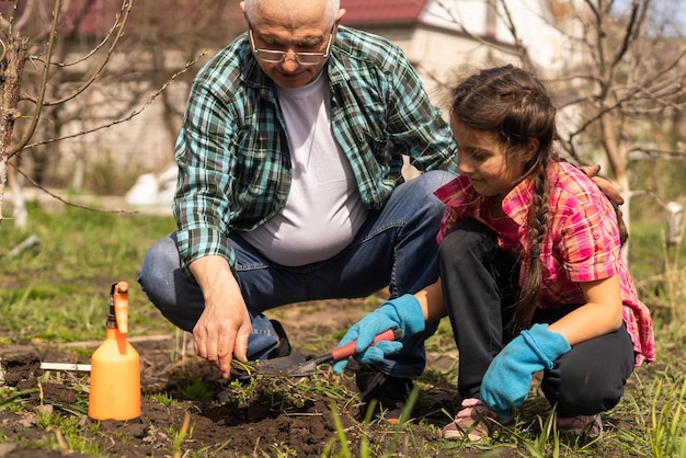 giardinaggio, nonno e nipote in giardino.