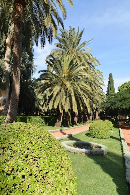 Giardini Bahai ad Haifa