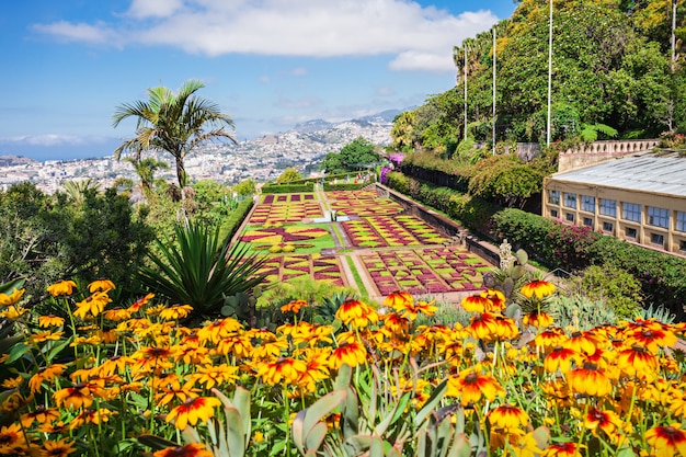 Giardini botanici di Madeira