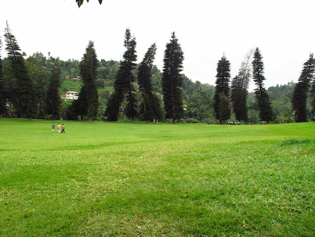 Giardini botanici reali, Kandy, Sri Lanka