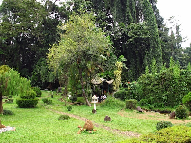 Giardini botanici reali, Kandy, Sri Lanka