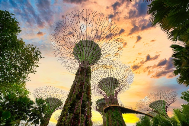 Giardini dalla baia Singapore