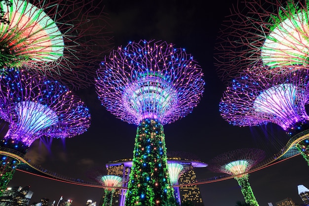 Giardini della baia di notte, Singapore