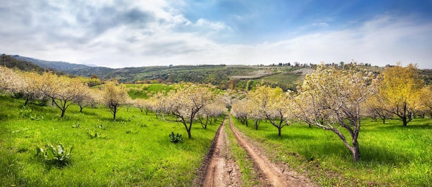 Giardini di mele primaverili