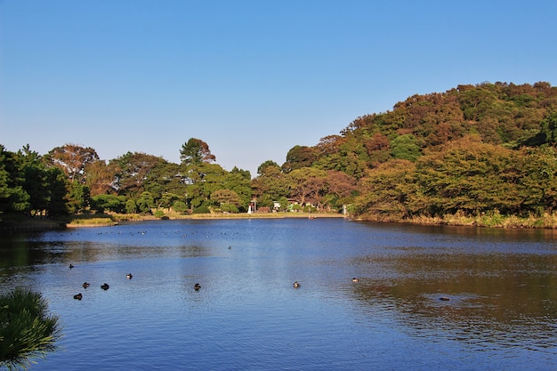 Giardini di Sankeien a Yokohama, in Giappone