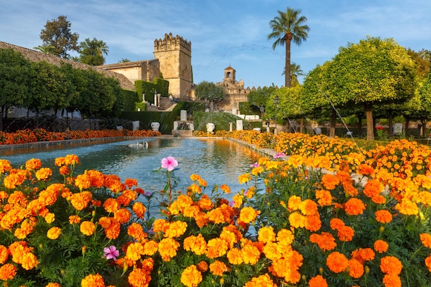 Giardini fioriti e fontane dell'Alcazar de los Reyes Cristianos palazzo reale dei re cristiani a Cordoba Andalusia Spagna