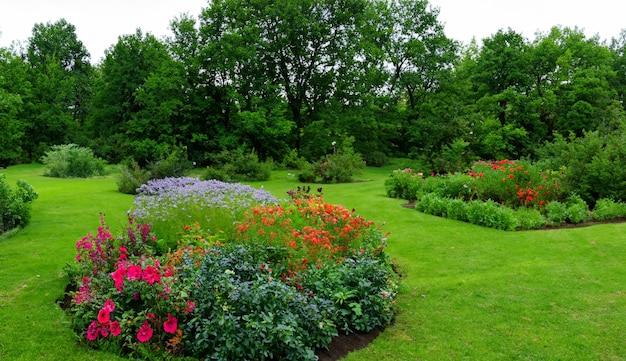 Giardini letti di fiori piante verdi parchi prati illustrazioni generate dall'AI