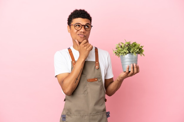 Giardiniere africano che tiene una pianta isolata su sfondo rosa e alza lo sguardo