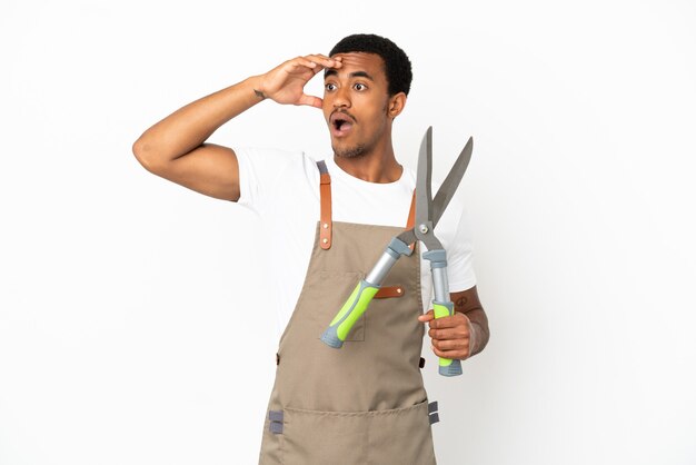 Giardiniere afroamericano uomo con forbici da potatura su sfondo bianco isolato facendo un gesto a sorpresa mentre guarda di lato