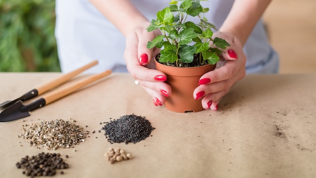 Giardiniere al lavoro. Hobby giardinaggio indoor. Set di strumenti di base predisposto per il reimpianto.