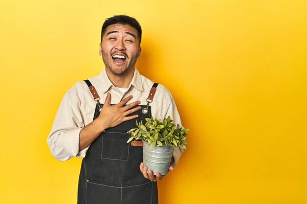 Giardiniere asiatico uomo che tiene una pianta sullo sfondo giallo dello studio ride ad alta voce mantenendo la mano sul petto