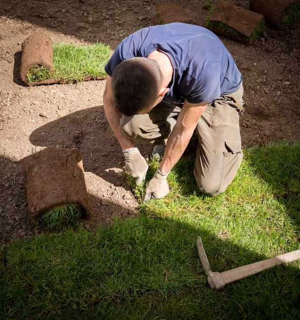 Giardiniere che installa Natural Grass Turfs che crea il bello campo del prato inglese