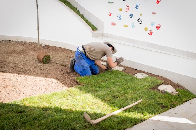 Giardiniere che installa Natural Grass Turfs che crea il bello campo del prato inglese