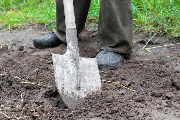 Giardiniere che scava nel giardino con la pala Agricoltore che lavora con la vanga scavo terreno agricoltura prato