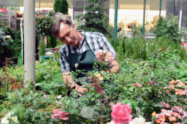 Giardiniere che si prende cura delle rose nel centro del giardino