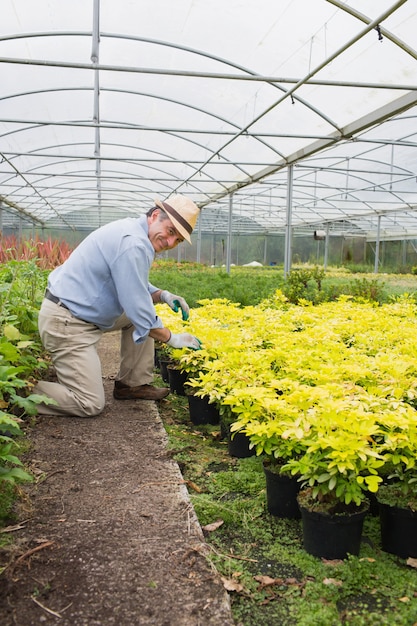 Giardiniere che sorride mentre tendendo alle piante