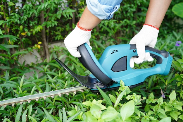 Giardiniere che taglia i cespugli con tagliatrici elettriche in giardino Hobby a casa