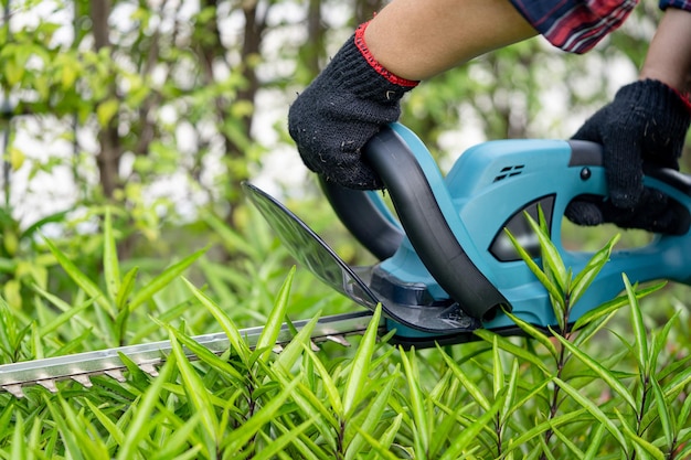 Giardiniere che tiene il tagliasiepi elettrico per tagliare la cima degli alberi in giardino.