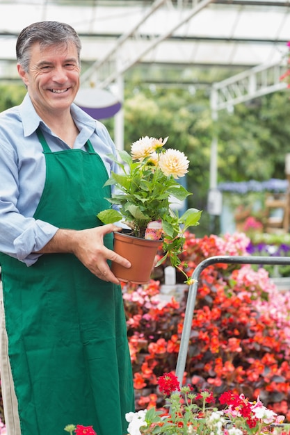 Giardiniere che tiene una pianta