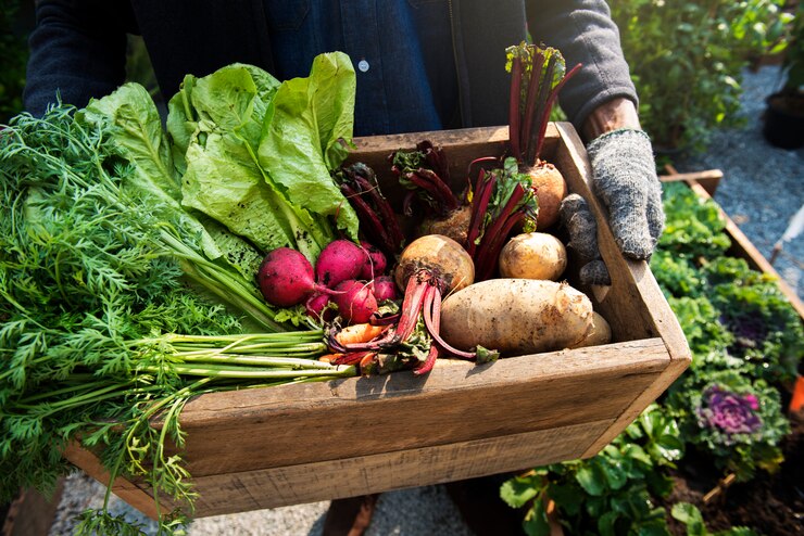 Foto giardiniere con prodotti agricoli freschi biologici
