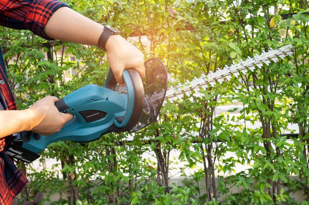 Giardiniere con un tagliacci elettrico per tagliare la cima dell'albero in giardino