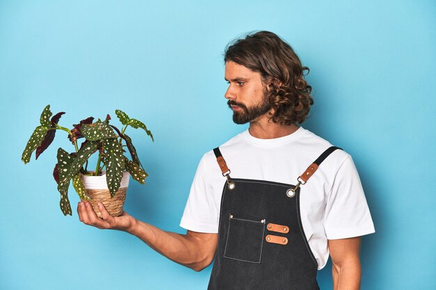 Giardiniere dai capelli lunghi con la barba che tiene una pianta in uno studio blu