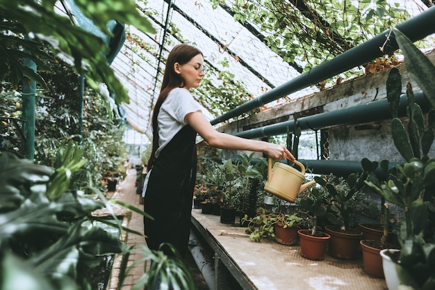 Giardiniere della giovane donna che innaffia le piante in serra