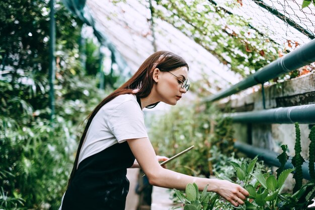 Giardiniere della giovane donna con tavoletta digitale che lavora in serra