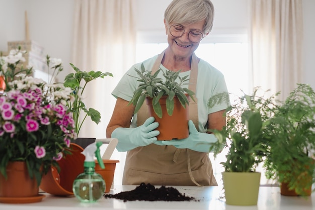 Giardiniere donna caucasica senior in abiti casual e guanti protettivi che si prende cura delle piante di casa sul tavolo bianco concetto di giardino domestico e hobby