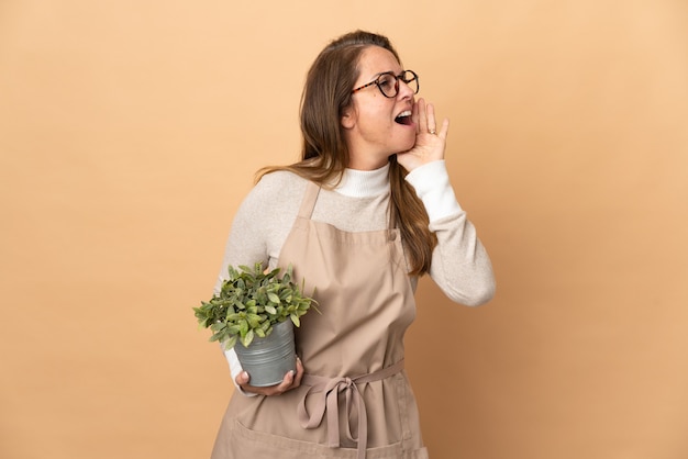 Giardiniere donna di mezza età che tiene una pianta isolata sul muro beige che grida con la bocca spalancata di lato