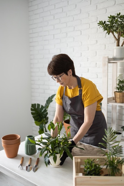 Giardiniere donna di mezza età che trapianta pianta in vasi di ceramica sul tavolo di legno bianco Concetto di giardino domestico Tempo di primavera Interni eleganti con molte piante Prendersi cura delle piante domestiche