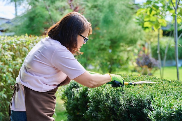 Giardiniere donna in grembiule rifinisce cespugli decorativi con forbici da giardino Piante servizio di giardinaggio cortile giardino paesaggistico lavoro persone concetto di natura