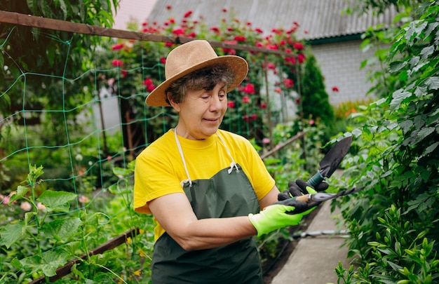 Giardiniere donna senior in un cappello che lavora nel suo cortile con strumenti di lavoro Il concetto di giardinaggio che cresce e si prende cura di fiori e piante