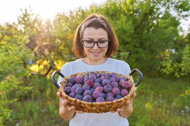 Giardiniere femmina con raccolto di prugne in cestino, sfondo giardino. Hobby, giardinaggio, coltivazione di frutta biologica nel giardino di casa, cibo sano e naturale