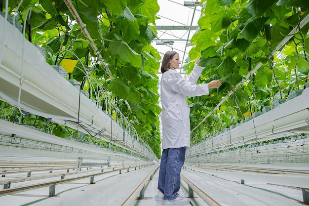 Giardiniere femminile che analizza la salute e la crescita dei cetrioli utilizzando le moderne tecnologie agricole