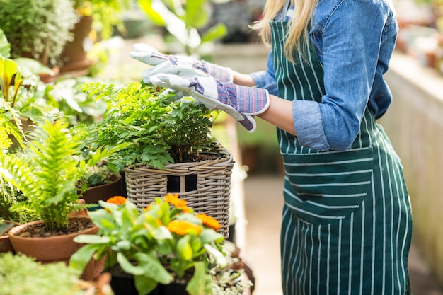 Giardiniere femminile che organizza le piante alla serra