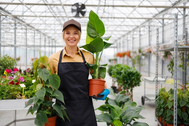 Giardiniere femminile con piante d'appartamento nelle sue mani presso la serra