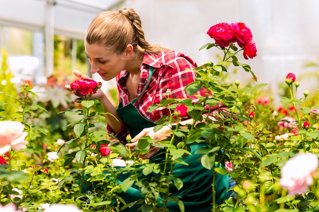 Giardiniere femminile nel giardino del mercato o nella scuola materna