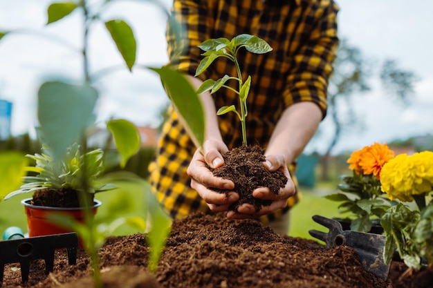 Giardiniere maschio che pianta verde e fiori come concetto di giardinaggio per hobby