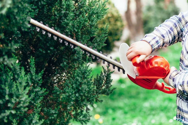 Giardiniere maschio che taglia i cespugli