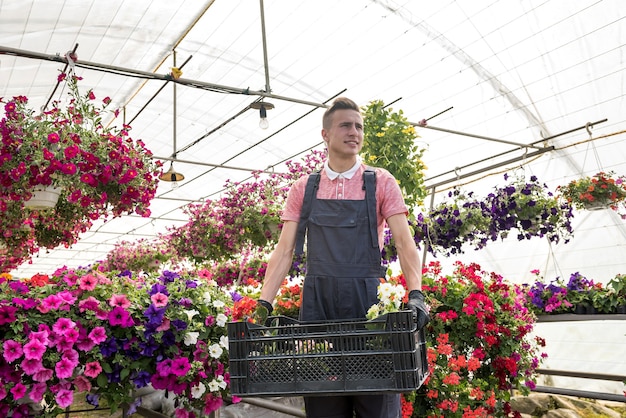 Giardiniere maschio sta trasportando fiori in cassa in serra industriale